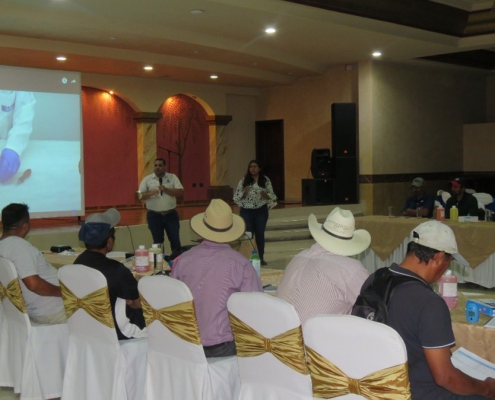 HND-020-B Workshops on water quality for councils and boards